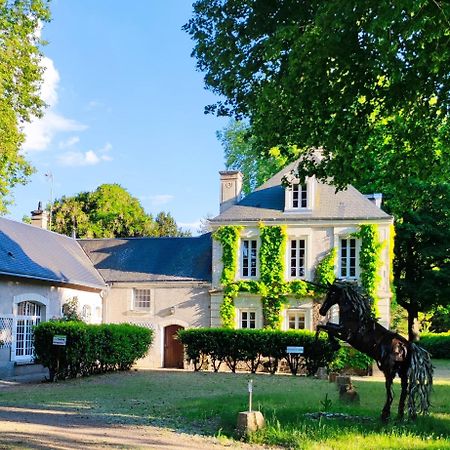 Chambres D'Hotes Du Domaine De L'Isle Civray-de-Touraine Esterno foto