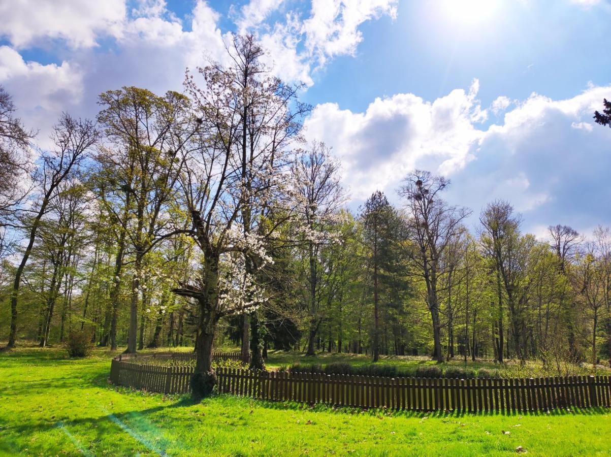 Chambres D'Hotes Du Domaine De L'Isle Civray-de-Touraine Esterno foto